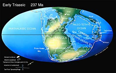 Erde vor 237 Millionen Jahren